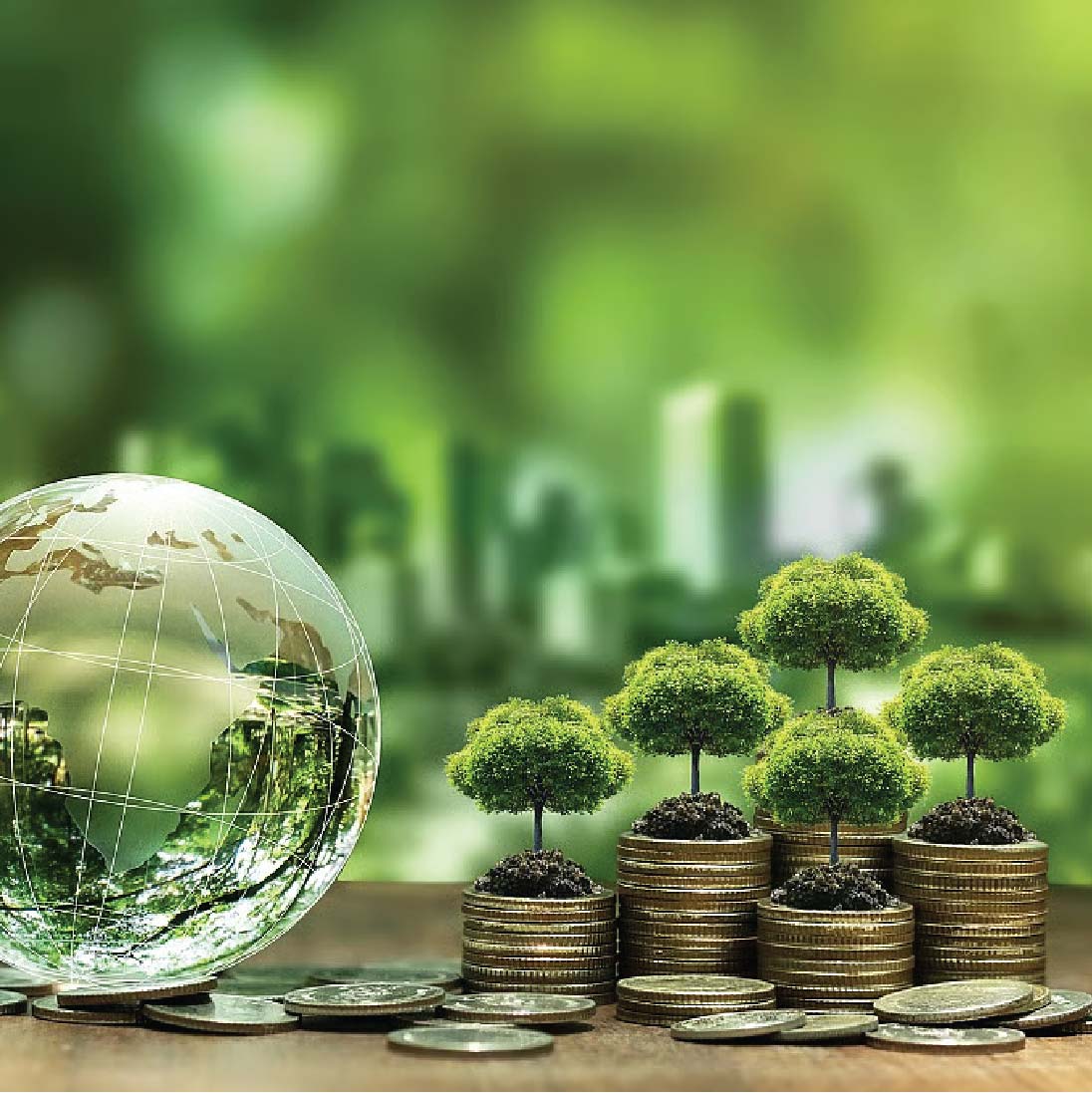 Lĩnh vực Tài chính Xanh & ESG